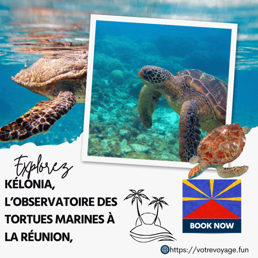 Kélonia, l’observatoire des tortues marines à La Réunion,