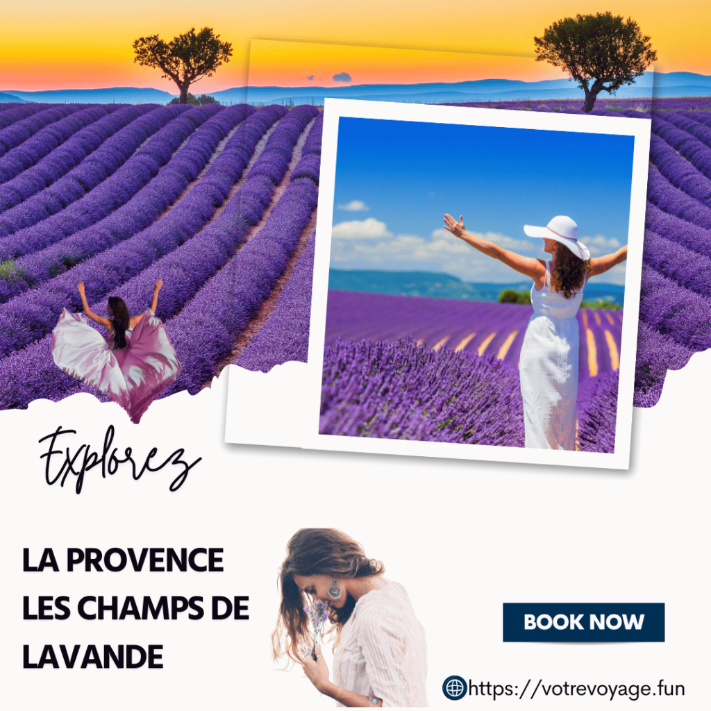 Les Champs de Lavande en Provence