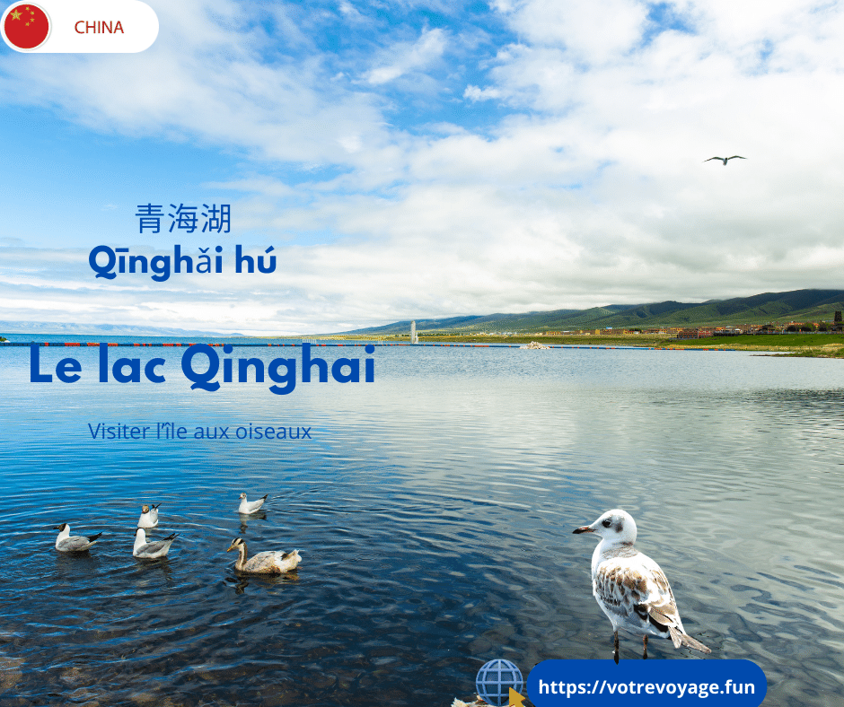 Visiter l’île aux oiseaux sur le lac Qinghai 