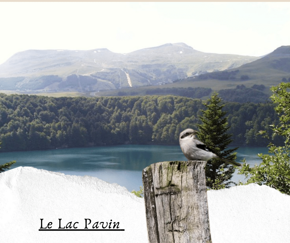 Le Lac Pavin  France