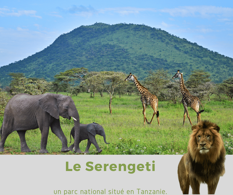 Le Serengeti
