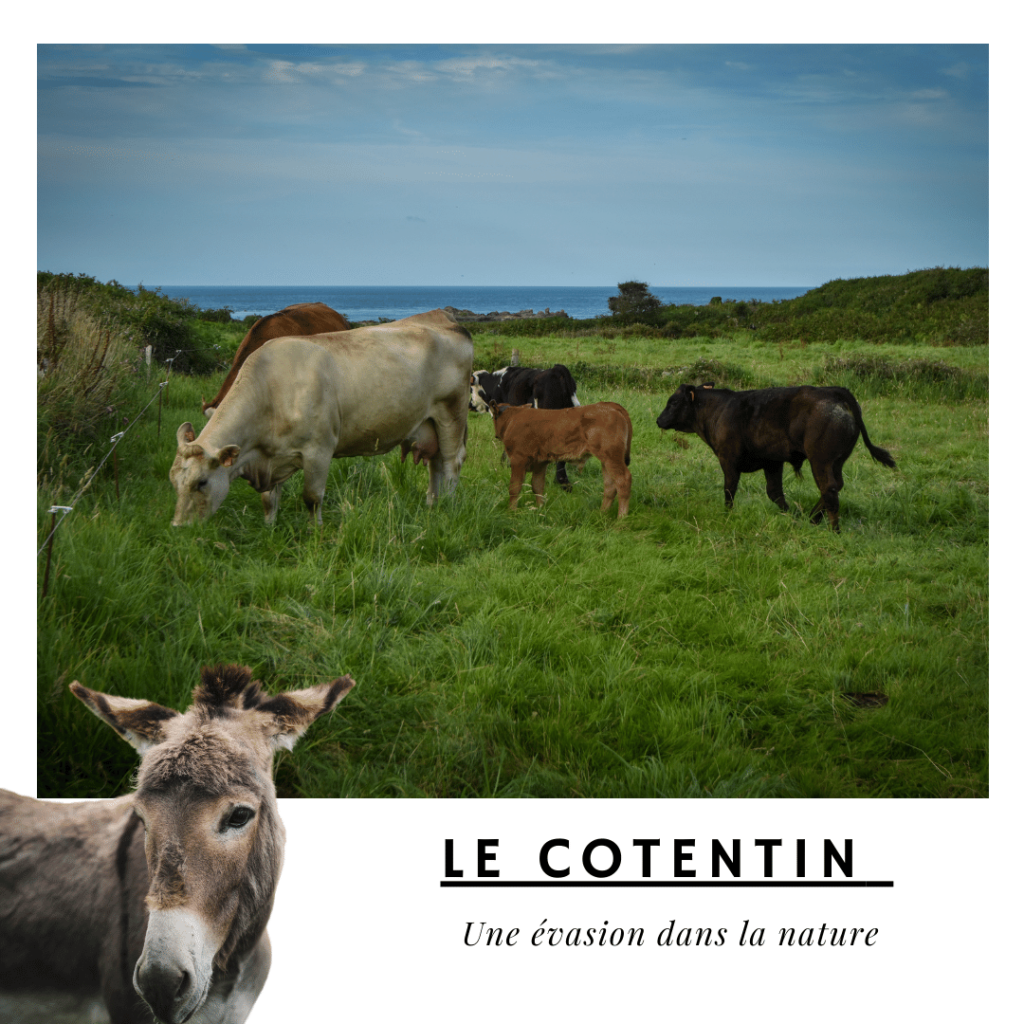 Le Cotentin : une évasion dans la nature