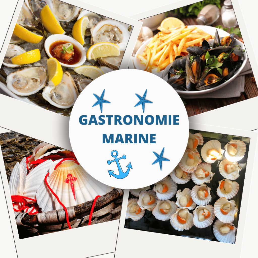 Gastronomie marine: