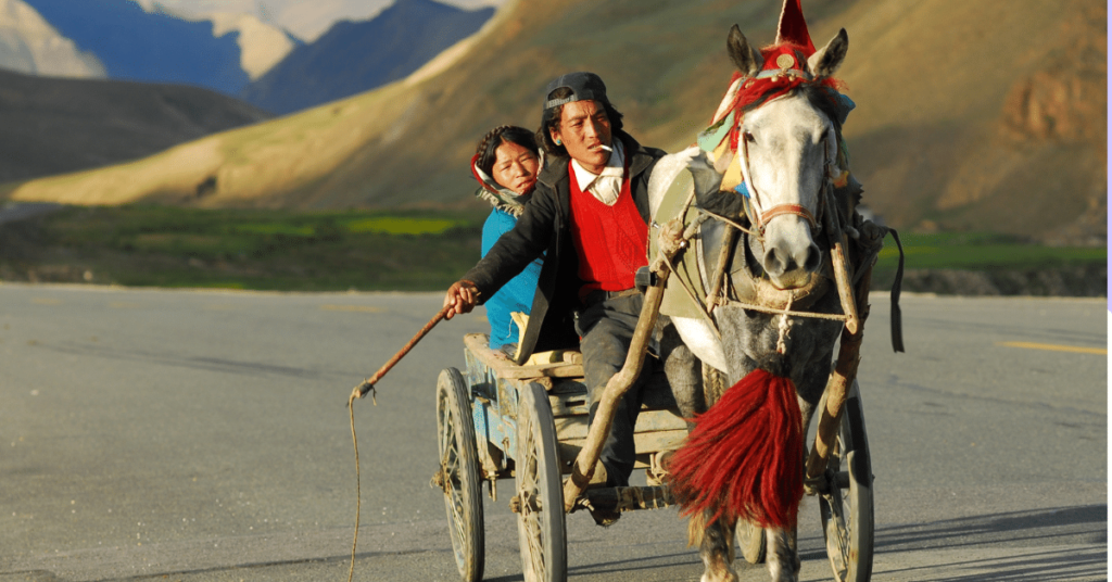 Charette au Nepal