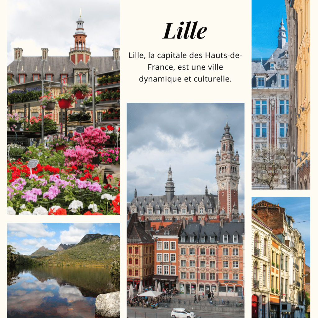 Lille, la capitale des Hauts-de-France, est une ville dynamique et culturelle.