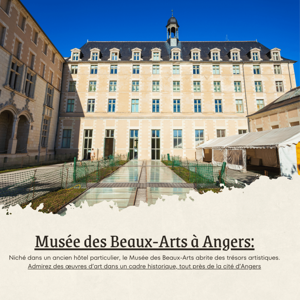 Musée des Beaux-Arts à Angers: