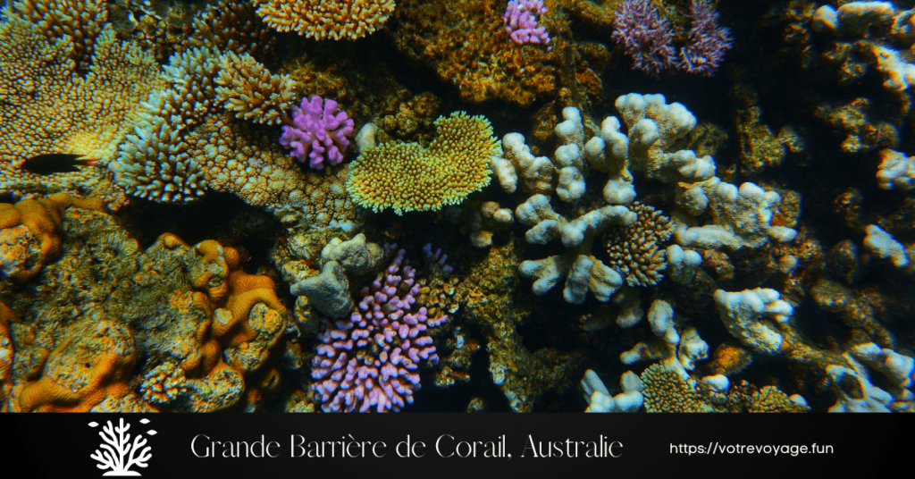 La Grande Barrière de Corail  Australie