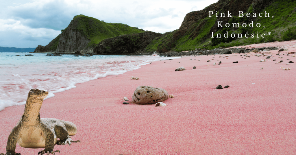 Pink Beach, Komodo, Indonésie*