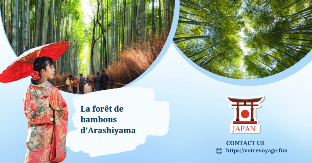 La forêt de bambous d'Arashiyama au Japon est un lieu qui semble tout droit sorti d'un conte de fées.