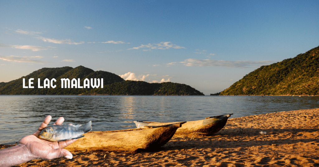 Le lac Malawi 