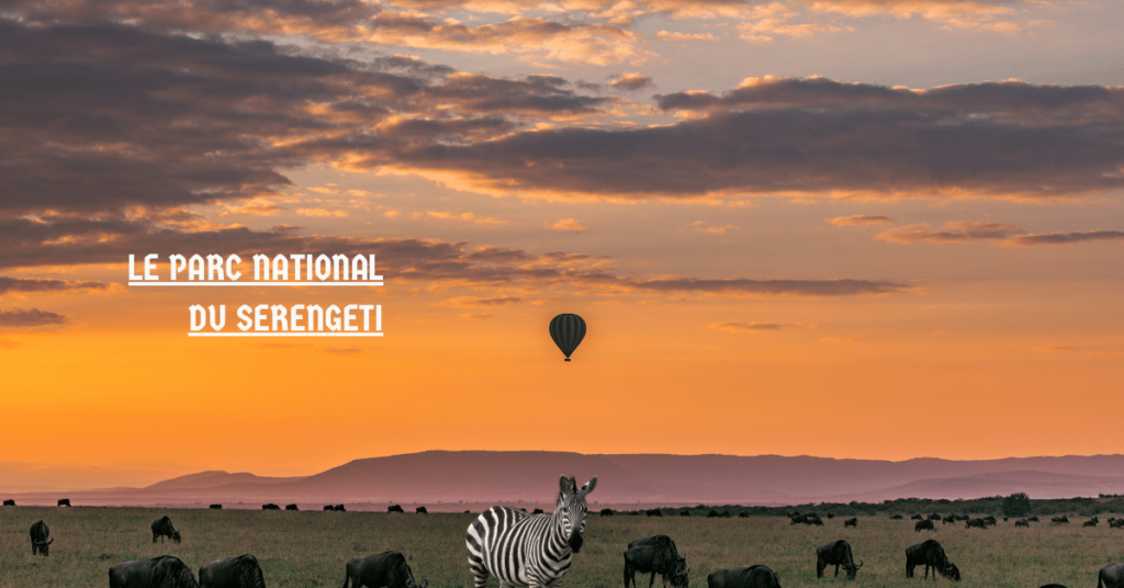 Le parc national du Serengeti