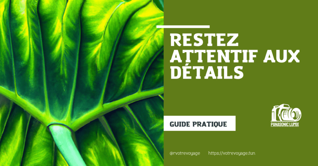 Restez attentif aux détails 