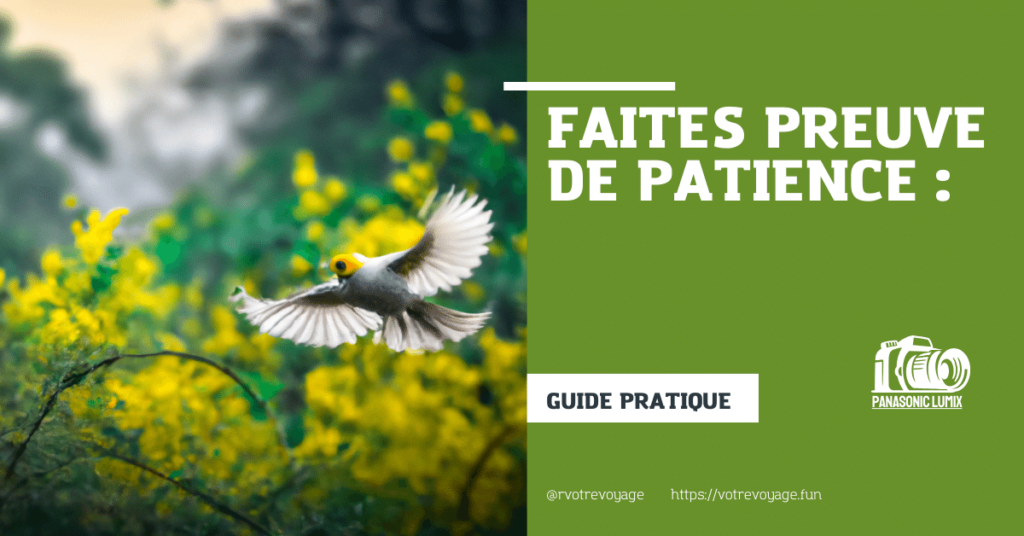 Faites preuve de patience : 