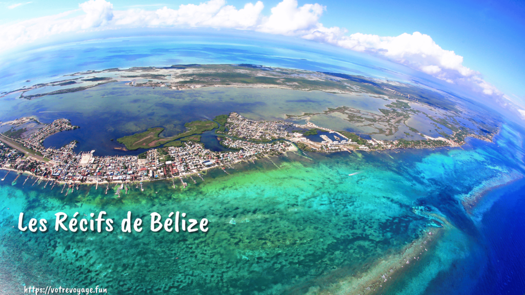 Les Récifs de Bélize