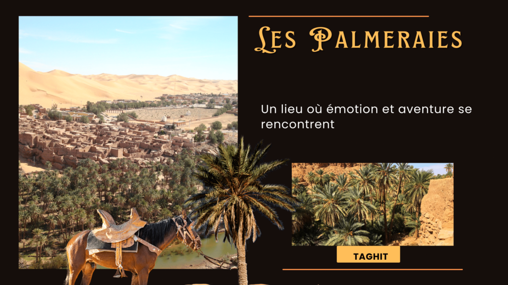 Les Palmeraies de Taghit