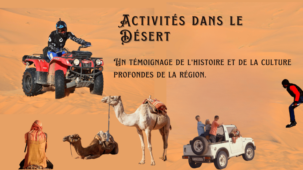 Activités dans le Désert