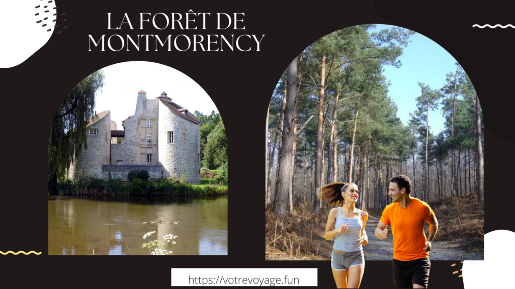  La Forêt de Montmorency