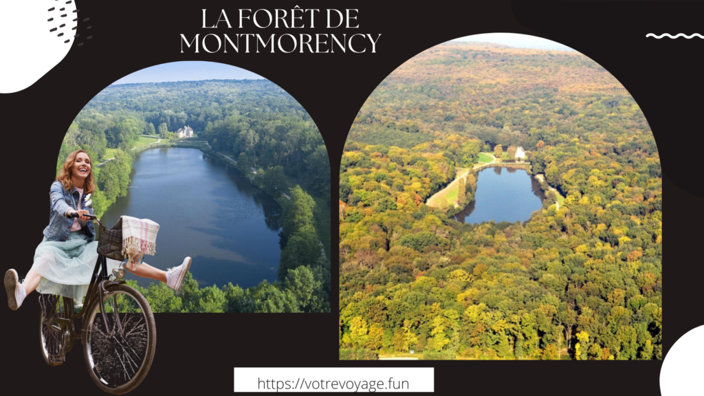 La Forêt de Montmorency 