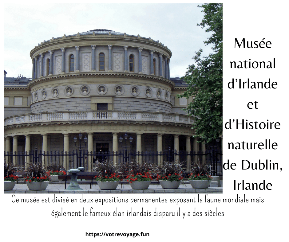Ce musée est divisé en deux expositions permanentes exposant la faune mondiale mais également le fameux élan irlandais disparu il y a des siècles