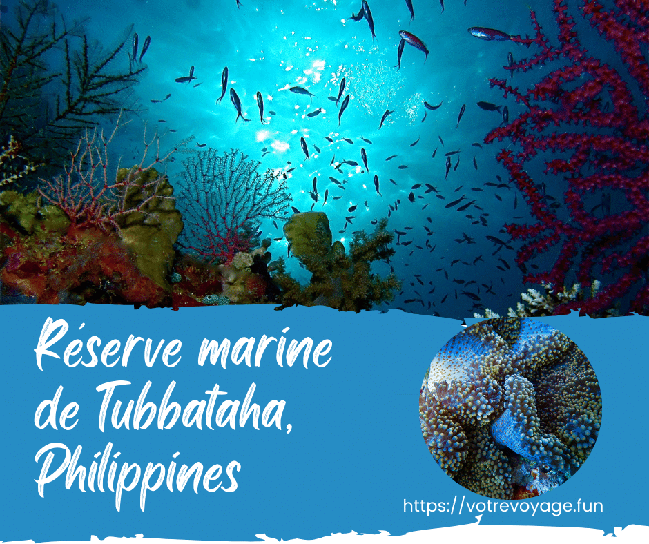 Réserve marine de Tubbataha, Philippines 