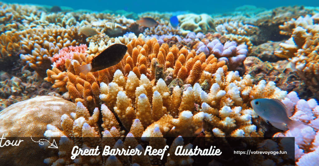 Great Barrier Reef, Australie