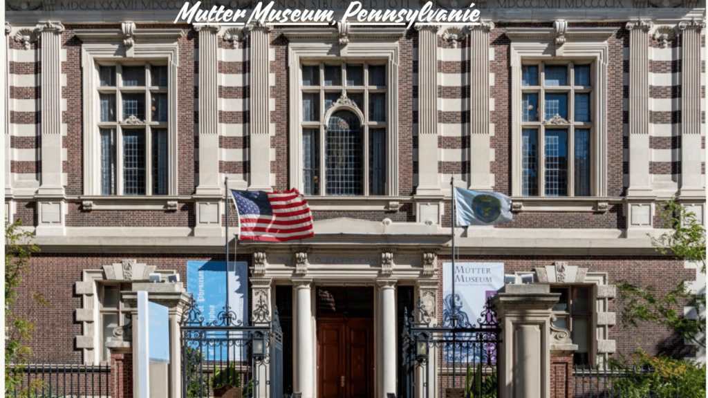 Mutter Museum, Pennsylvanie