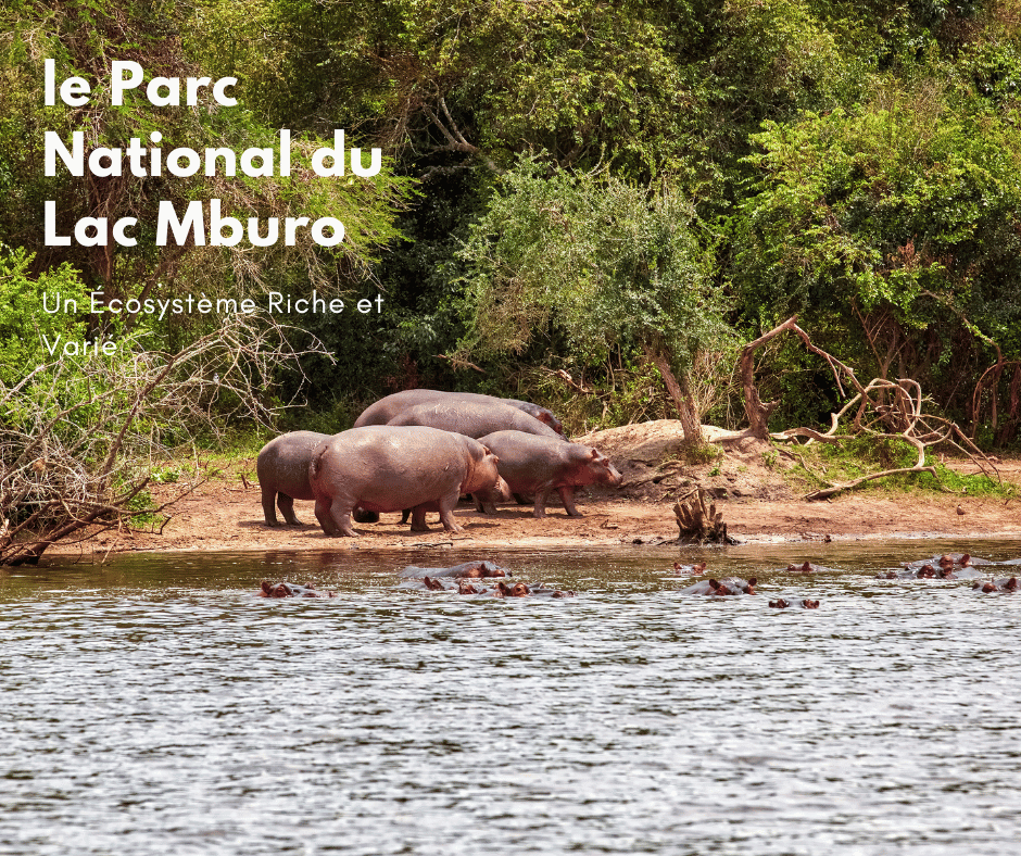 le Parc National du Lac Mburo