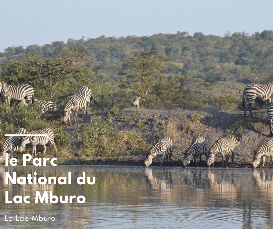 Le Lac Mburo 