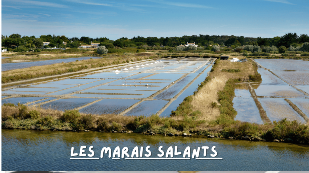 Les Marais Salants 