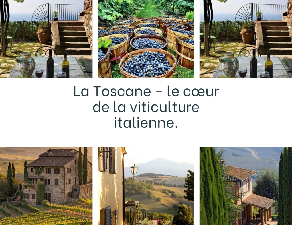 La Toscane - le cœur de la viticulture italienne.