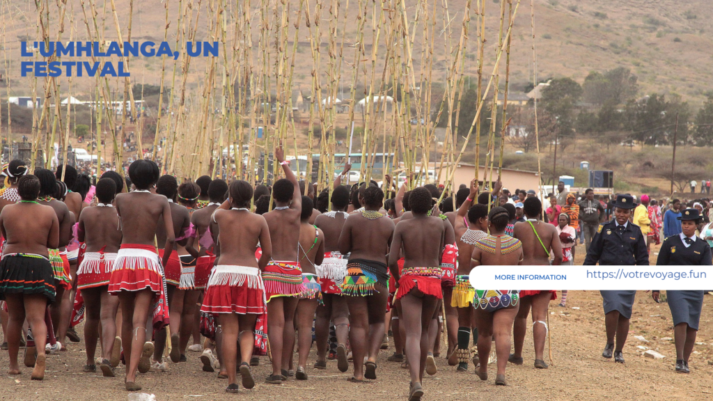  L'Umhlanga, un Festival Traditionnel de Couleurs et de Culture