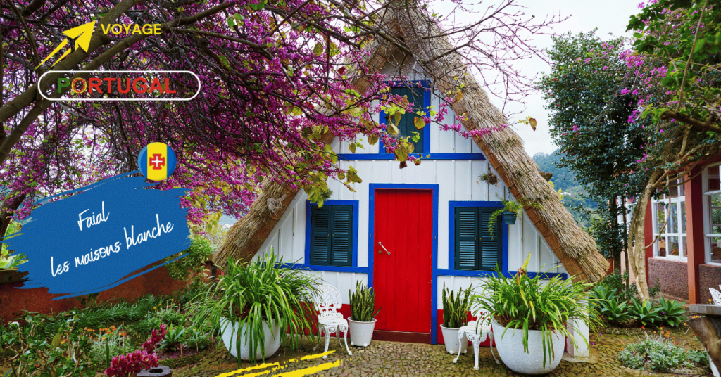 Faial  :Les maisons blanches