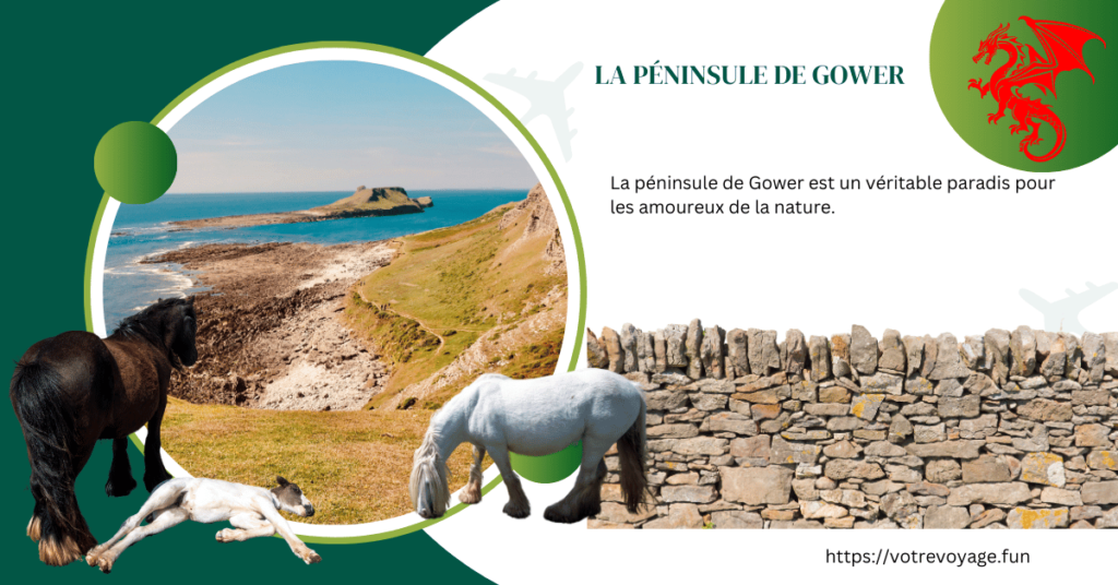 La Péninsule de Gower