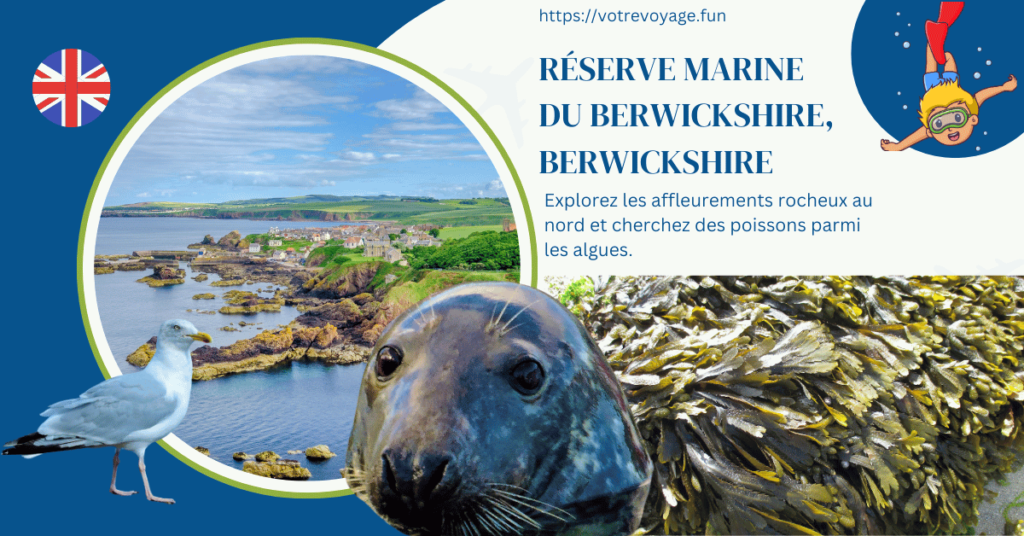 Réserve Marine du Berwickshire,