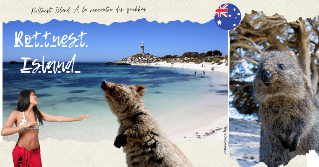 Rottnest Island : À la rencontre des quokkas