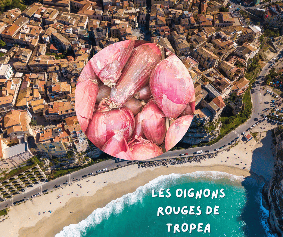 Les oignons rouges de Tropea