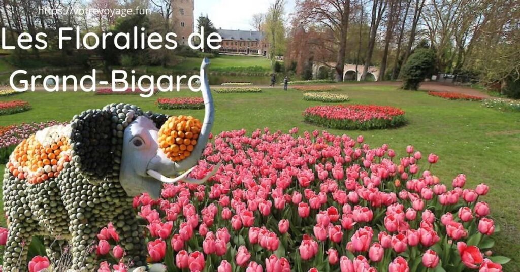 Les Floralies de Grand-Bigard 