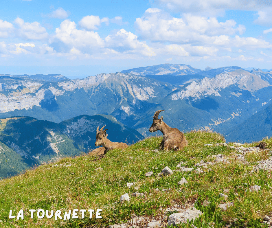 La Tournette