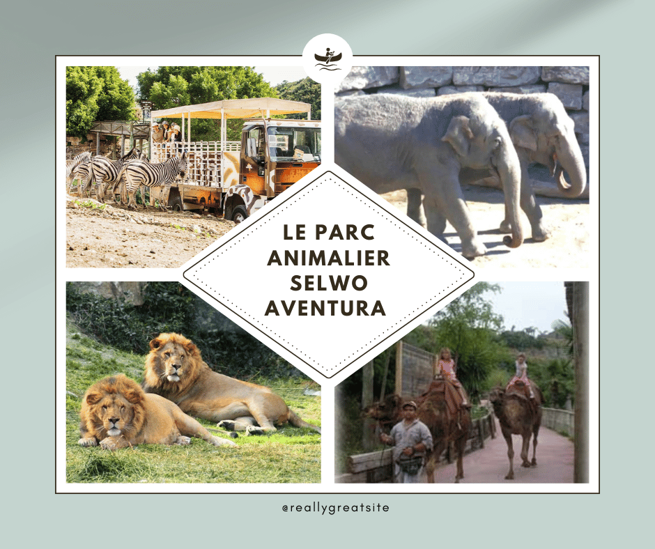 Le parc animalier Selwo Aventura 