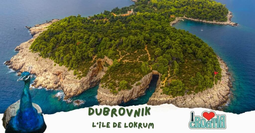 l'île de Lokrum,Dubrovnik