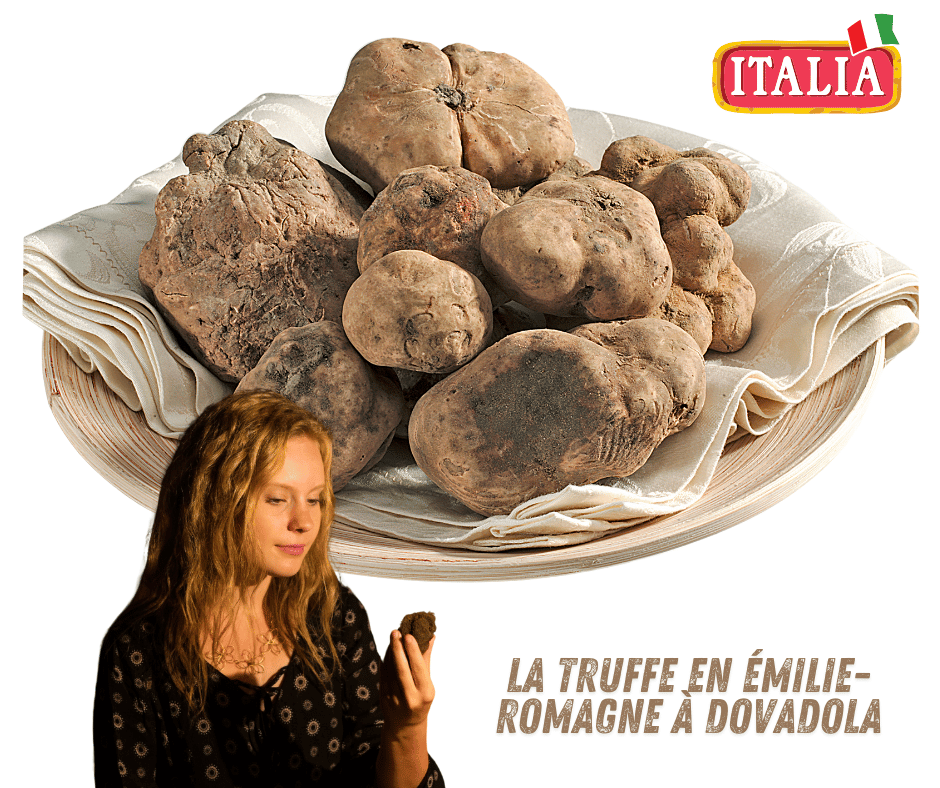 la truffe en Émilie-Romagne à Dovadola