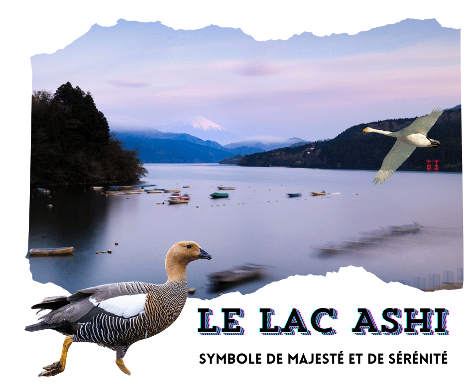 Le lac Ashi à Hakone