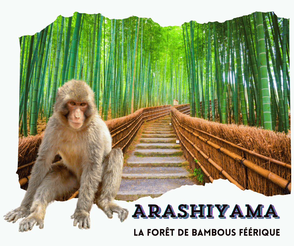 Arashiyama 