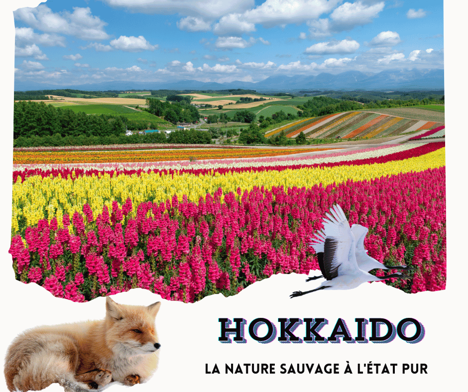 Hokkaido