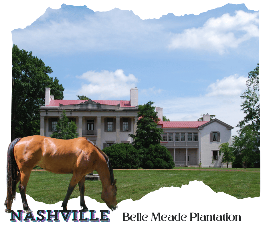 Nashville,Belle Meade Plantation